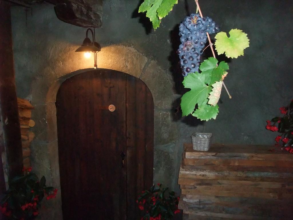 Le Domaine Du Grand Cellier Chambres D'Hotes En Savoie Tournon Luaran gambar