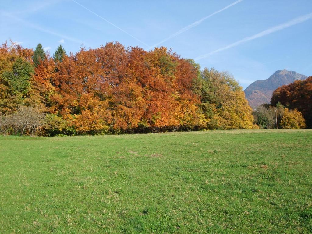 Le Domaine Du Grand Cellier Chambres D'Hotes En Savoie Tournon Luaran gambar